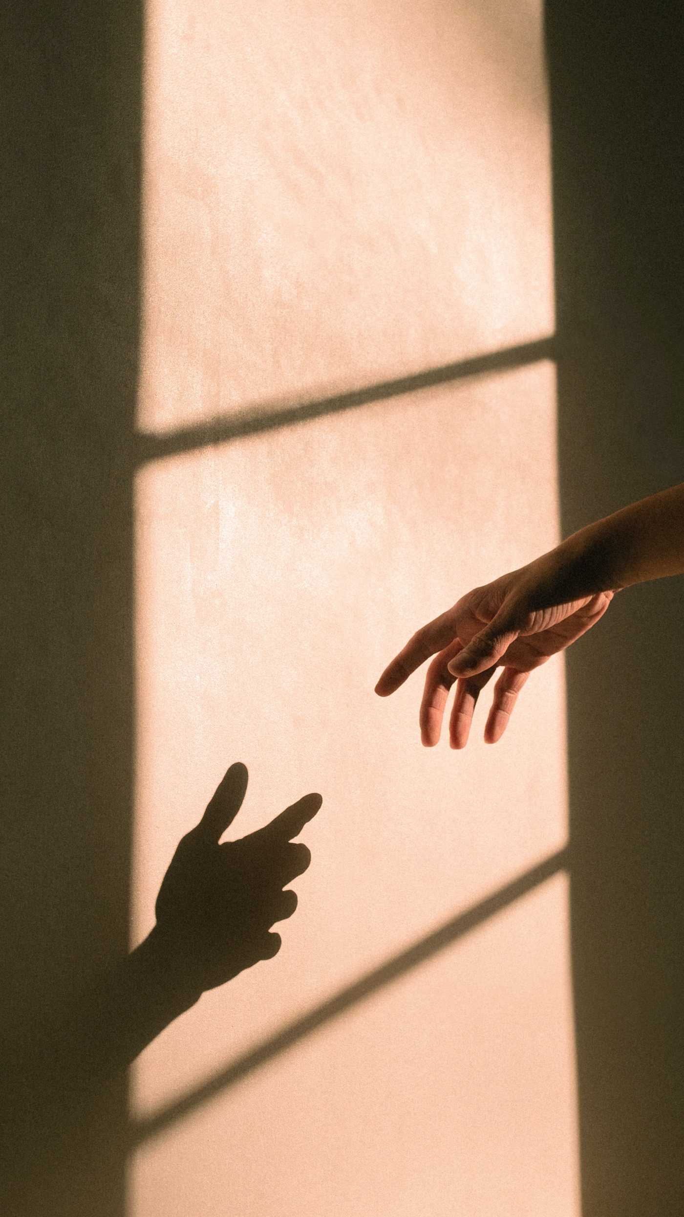 sirisvisual lcfzmdhqp5g unsplash