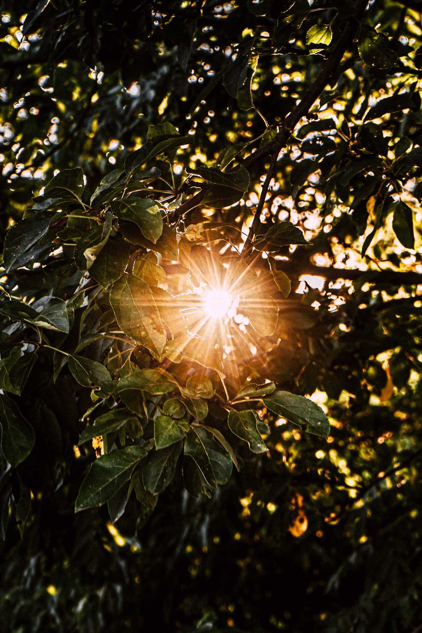 raphael renter xlyxnfluauc unsplash
